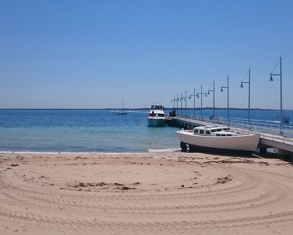 Palm 5*